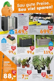 Aktueller Globus-Baumarkt Prospekt mit Garten, "Immer eine Idee besser", Seite 6