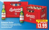 Bierspezialität Angebote von Budweiser Budvar bei E center Hennigsdorf für 13,99 €