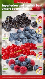 Heidelbeeren im Penny Prospekt "Wer günstig will, muss Penny." auf Seite 4