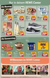 Ähnliche Angebote wie Stauden im Prospekt "Dein Markt" auf Seite 5 von REWE in Wetzlar