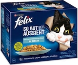 Aktuelles Katzennahrung Angebot bei REWE in Ludwigshafen (Rhein) ab 3,99 €