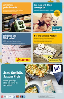 REWE Prospekt Ahlerstedt "Dein Markt" mit 34 Seiten