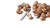 Bio-Champignons braun von Naturland im aktuellen tegut Prospekt für 1,99 €