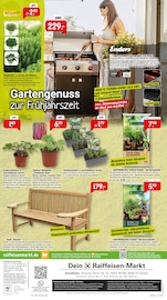 Aktueller Raiffeisenmarkt Prospekt mit Gartenbank, "So wird draußen zum Lieblingsort.", Seite 8