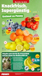 Tomaten Angebot im aktuellen Penny Prospekt auf Seite 6