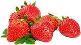 REWE Dillenburg - Regionale Erdbeeren Angebot im Prospekt Regionale Erdbeeren bei REWE im Dillenburg Prospekt für