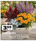 Sommerquattro Angebote bei OBI Fürth für 3,49 €