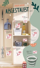 Seife im Rossmann Prospekt in Ingolstadt Aktueller Rossmann Prospekt mit Seife, "Mein Drogeriemarkt", Seite 5