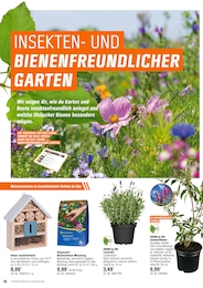 Sommerflieder Angebot & Preis im aktuellen OBI Prospekt Sommerflieder Angebot im aktuellen OBI Prospekt auf Seite 10