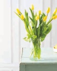 Promo Bouquet de 9 tulipes à 4,39 € dans le catalogue Super U à Coggia