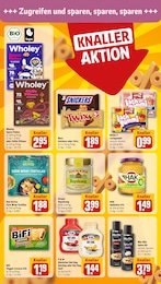 Knoblauch Angebot & Preis im aktuellen REWE Prospekt Knoblauch Angebot im aktuellen REWE Prospekt auf Seite 16