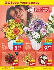 Tulpen im Netto Marken-Discount Prospekt in Bensheim Aktueller Netto Marken-Discount Prospekt mit Tulpen, "Aktuelle Angebote", Seite 63