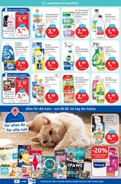 Aktueller budni Prospekt mit Katzenfutter, "drogeriemarkt", Seite 4