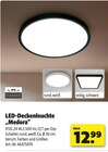 LED-Deckenleuchte „Medora“ bei Hagebaumarkt im Prospekt "" für 12,99 €
