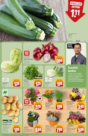 Ähnliche Saatgut Angebote im Prospekt "Dein Markt" von REWE in Neuwied Ähnliche Angebote wie Saatgut im Prospekt "Dein Markt" auf Seite 7 von REWE in Neuwied