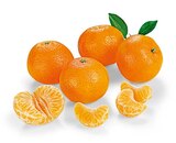 Mandarinen Angebote bei REWE Kiel für 1,79 €