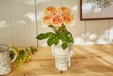 Carrefour Saint-Renan - Promo Bouquet de roses de jardin Promo Bouquet de roses de jardin à 15,00 € dans le catalogue Carrefour à Saint-Renan