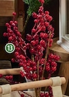 Beerenzweig im Angebot bei famila Nordost in Gifhorn Beerenzweig Angebote bei famila Nordost Gifhorn für 3,99 €