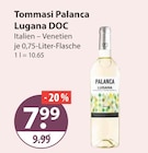 Palanca Lugana DOC im V-Markt Prospekt Palanca Lugana DOC von Tommasi im aktuellen V-Markt Prospekt für 7,99 €