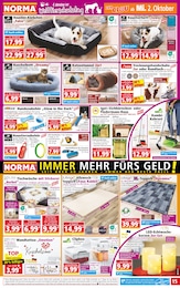 Badetuch Angebot im aktuellen Norma Prospekt auf Seite 15