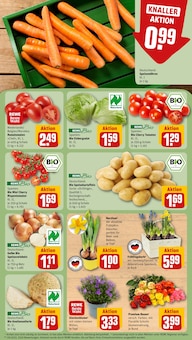 Tomaten im REWE Prospekt "Dein Markt" mit 35 Seiten (Duisburg)