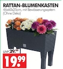 RATTAN-BLUMENKASTEN im Angebot bei Wreesmann in Aurich RATTAN-BLUMENKASTEN Angebote bei Wreesmann Aurich für 19,99 €
