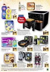 Aktueller E center Prospekt mit Hundefutter, "Aktuelle Angebote", Seite 39