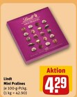 Mini Pralines Angebote von Lindt bei REWE Dachau für 4,29 €