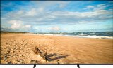 OLED TV K-55XR84B Bravia 8 im Angebot bei expert in Cham OLED TV K-55XR84B Bravia 8 Angebote von SONY bei expert Cham für 1.149,00 €