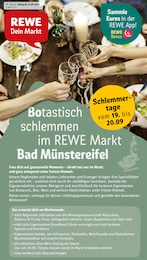 REWE Prospekt für Bad Münstereifel mit 33 Seiten REWE Prospekt für Bad Münstereifel: "Dein Markt", 33 Seiten, 15.09.2025 - 20.09.2025