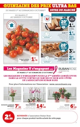 Offre Orchidée dans le catalogue U Express du moment à la page 7