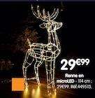 Renne en microLED à 29,99 € dans le catalogue B&M