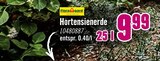 Hortensienerde Angebote von Floragard bei Hornbach Koblenz für 9,99 €