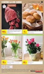 Offre Aménagement Extérieur dans le catalogue Intermarché Express du moment à la page 5