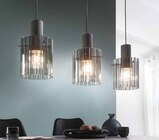 Pendelleuchte im Angebot bei Opti-Wohnwelt in Neubrandenburg Pendelleuchte Angebote bei Opti-Wohnwelt Neubrandenburg für 111,90 €