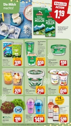 REWE Spielwaren im Prospekt REWE Spielwaren im Prospekt