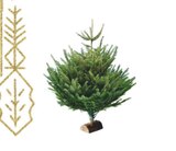 SAPIN NORDMANN COUPÉ 125/150 CM AVEC BÛCHE OFFERTE à Intermarché dans L'Estaque SAPIN NORDMANN COUPÉ 125/150 CM AVEC BÛCHE OFFERTE à Intermarché dans L'Estaque