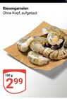Aktuelle Garnele Angebote bei GLOBUS in Mannheim Aktuelles Riesengarnelen Angebot bei GLOBUS in Mannheim ab 2,99 €