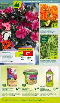 Gartenmöbel im Pflanzen Kölle Prospekt "Blütenzauber für fleissige Bienchen!" mit 16 Seiten (Heilbronn)