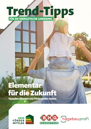 BHG Baustoffe Prospekt mit 14 Seiten (Fichtelberg)