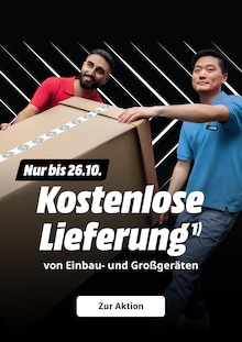 deko aus metall Objekt mit Schale Farbe:Steel-Veluno
