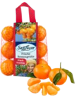 Spanien Clementinen Kl. I bei EDEKA im Drochtersen Prospekt für 1,99 €