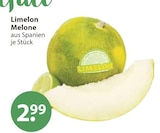 V-Markt Burgau - Limelon Melone Angebot im Prospekt Limelon Melone bei V-Markt im Burgau Prospekt für 2,99 €