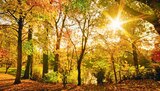 Mini LED 4K 125 cm (50") im Angebot bei MEDIMAX in Potsdam Mini LED 4K 125 cm (50") Angebote bei MEDIMAX Potsdam für 499,00 €