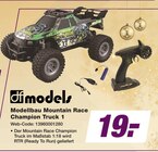 Modellbau Mountain Race Champion Truck 1 Angebote von dmodels bei expert Bautzen für 19,00 €