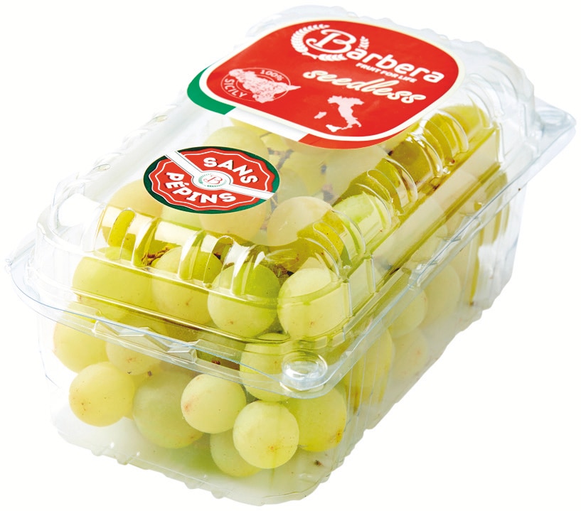 Raisin blanc sans pépins Variété Arra/Sugraone