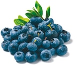 Netto mit dem Scottie Delitzsch - Heidelbeeren Angebot im Prospekt Heidelbeeren bei Netto mit dem Scottie im Delitzsch Prospekt für 1,69 €