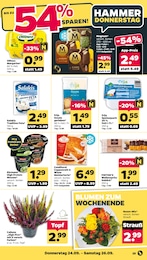 Eis Angebot & Preis im aktuellen Netto mit dem Scottie Prospekt Eis Angebot im aktuellen Netto mit dem Scottie Prospekt auf Seite 29