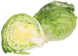 EDEKA Frischemarkt Spantekow - Eisbergsalat Angebot im Prospekt Eisbergsalat bei EDEKA Frischemarkt im Spantekow Prospekt für 0,59 €