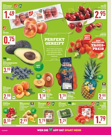 Tomaten im Marktkauf Prospekt "Aktuelle Angebote" mit 34 Seiten (Bochum)